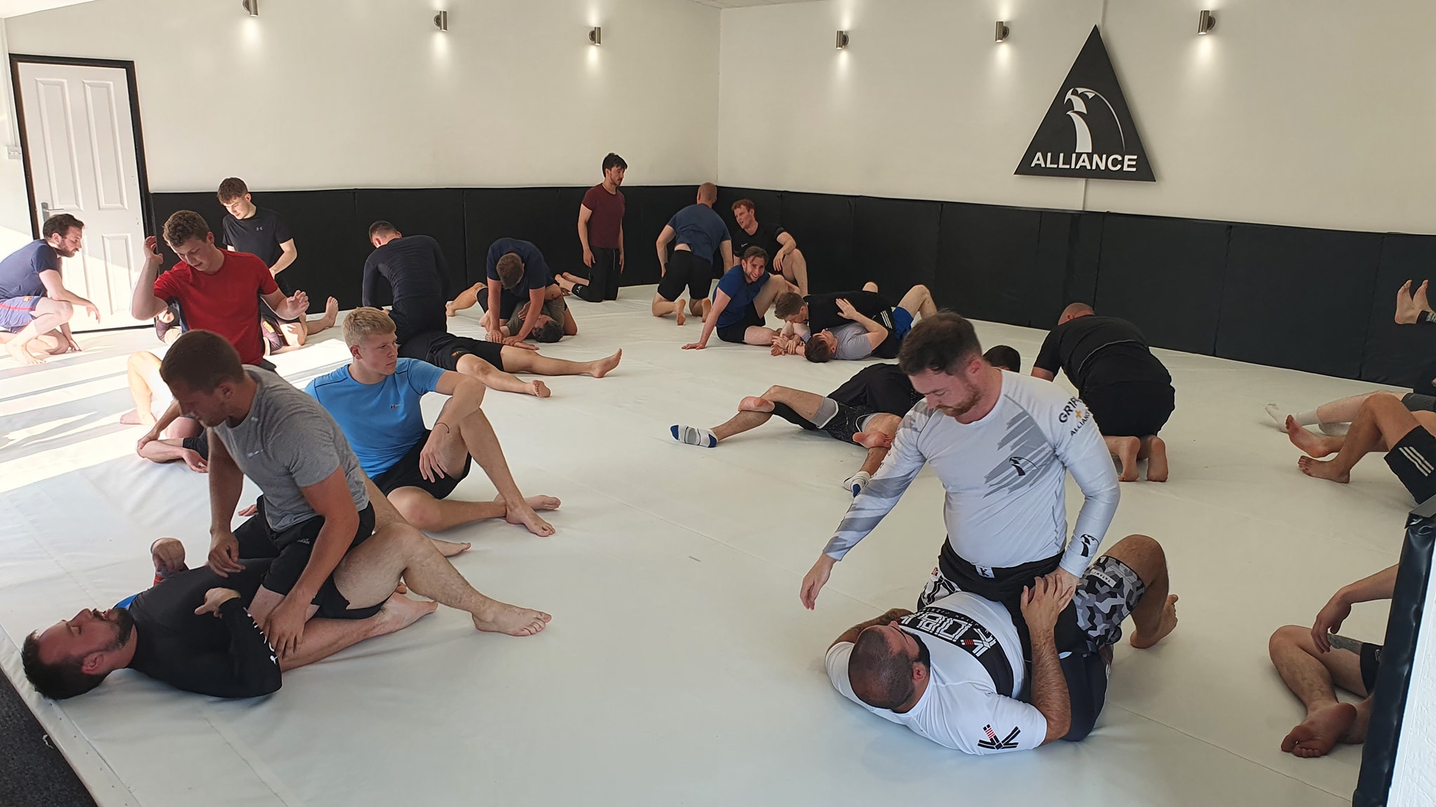 Image showing class type: Introduction classes with no gi